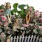 6x Flower Fairies Figure Miniature Garden Resin Ornaments Statue Flowerpot Decor